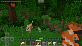 screen Minecraft