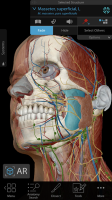 screen Human Anatomy Atlas 2020:&nbsp;Complete 3D Human Body