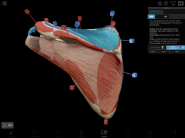 screen Human Anatomy Atlas 2020:&nbsp;Complete 3D Human Body