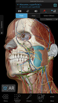 Human Anatomy Atlas 2020:&nbsp;Complete 3D Human Body screenshot 1
