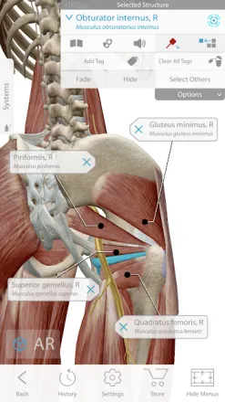 Human Anatomy Atlas 2020:&nbsp;Complete 3D Human Body screenshot 2