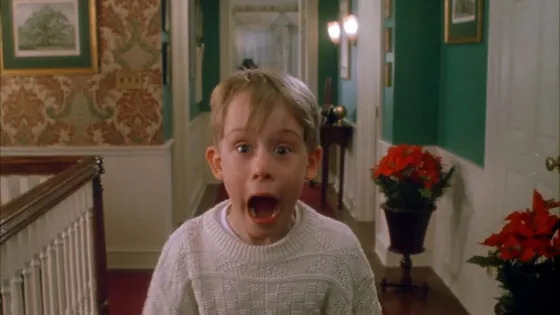 Home Alone screenshot 1